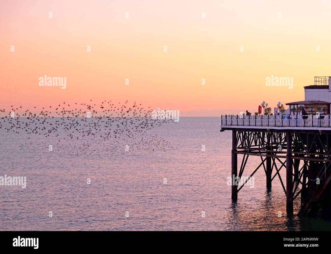 Part of Brighton pier jutting out over the sea on the right, on the left hundreds of starlings in beautiful murmuration flying over the sea the sun is Stock Photo