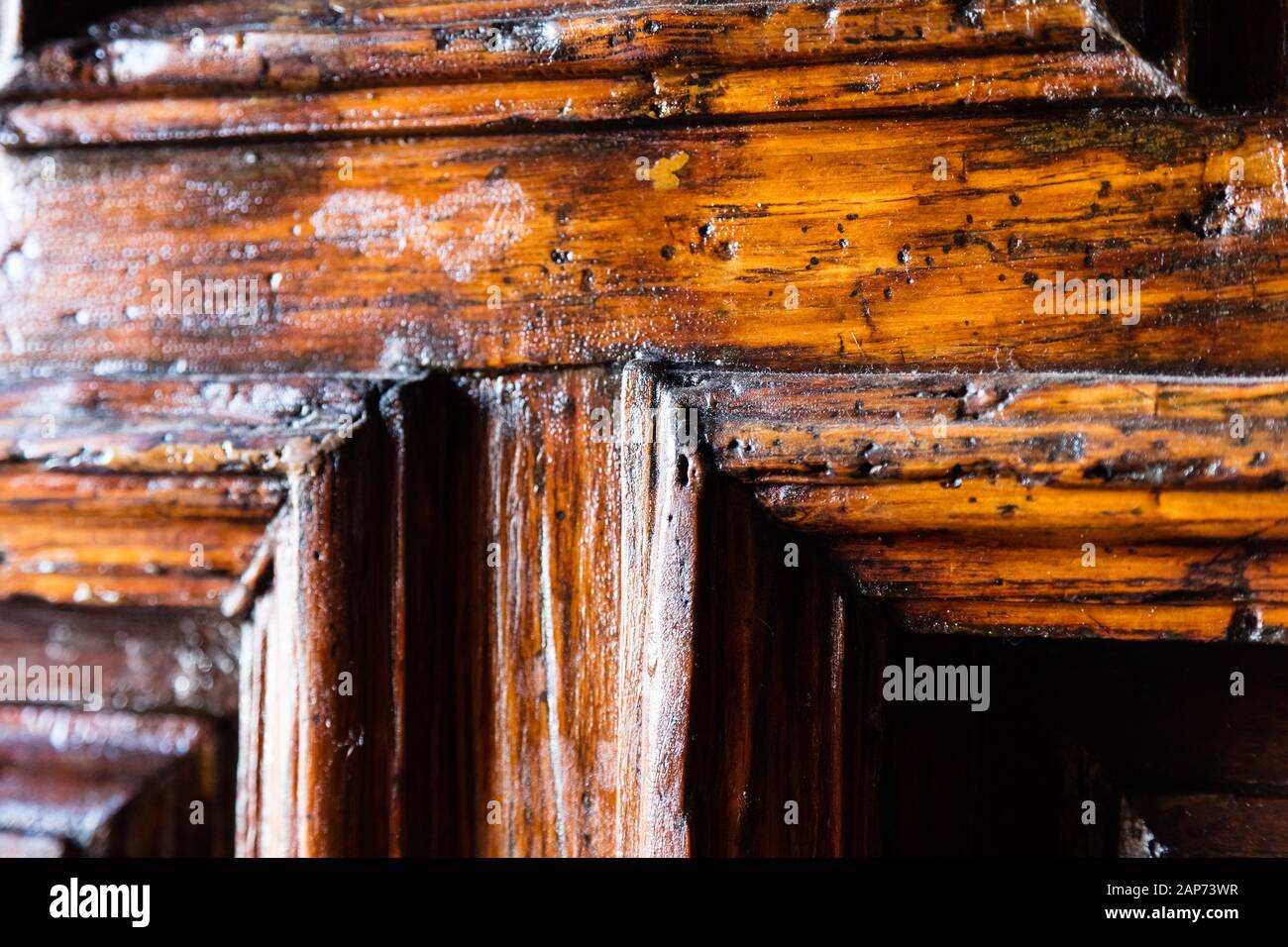 Old wood texture with the woodworm holes Stock Photo