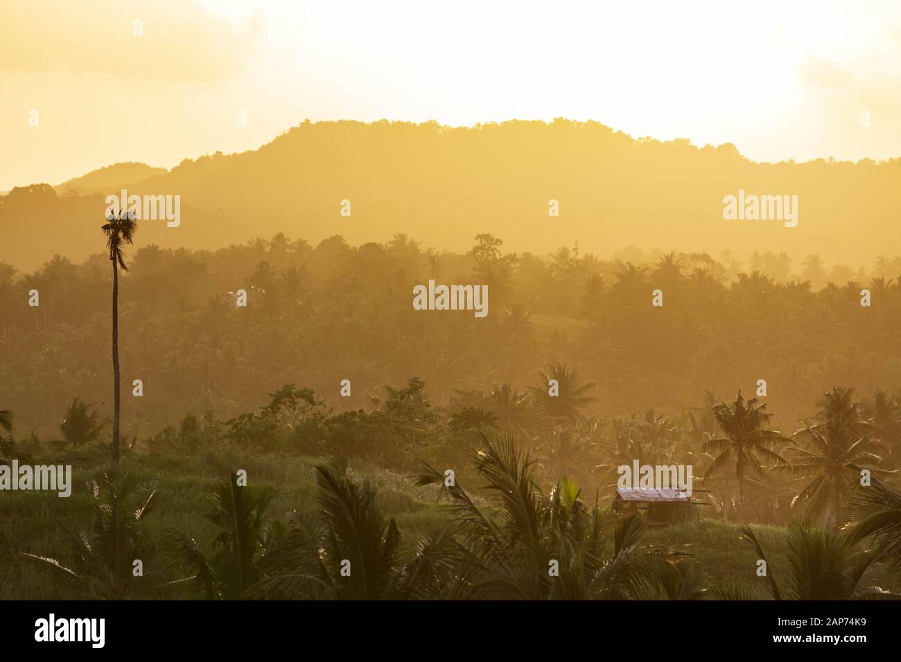 Orange sunset glow over shack amid hills and palms Stock Photo
