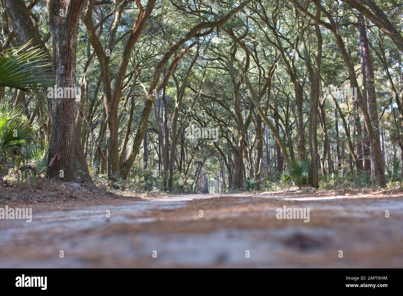 Grailing Path Gravel Path Paths High Resolution Stock Photography and Images - Alamy