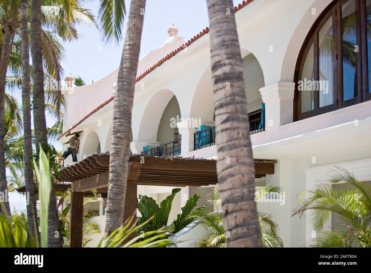 Luxury buildings palm trees hi-res stock photography and images - Alamy