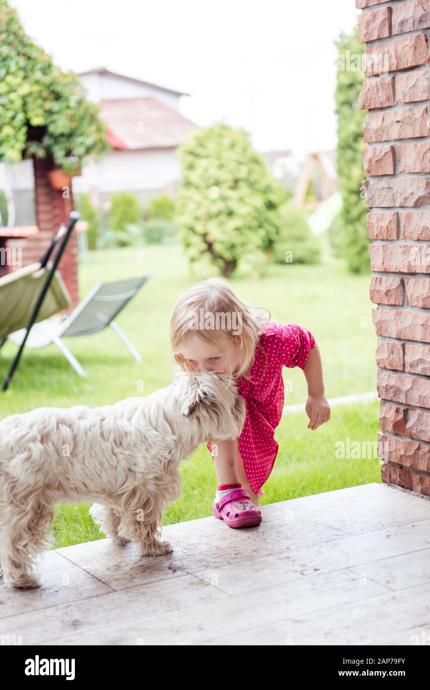 A little cute girl in the yard kissing a white small dog Stock Photo ...