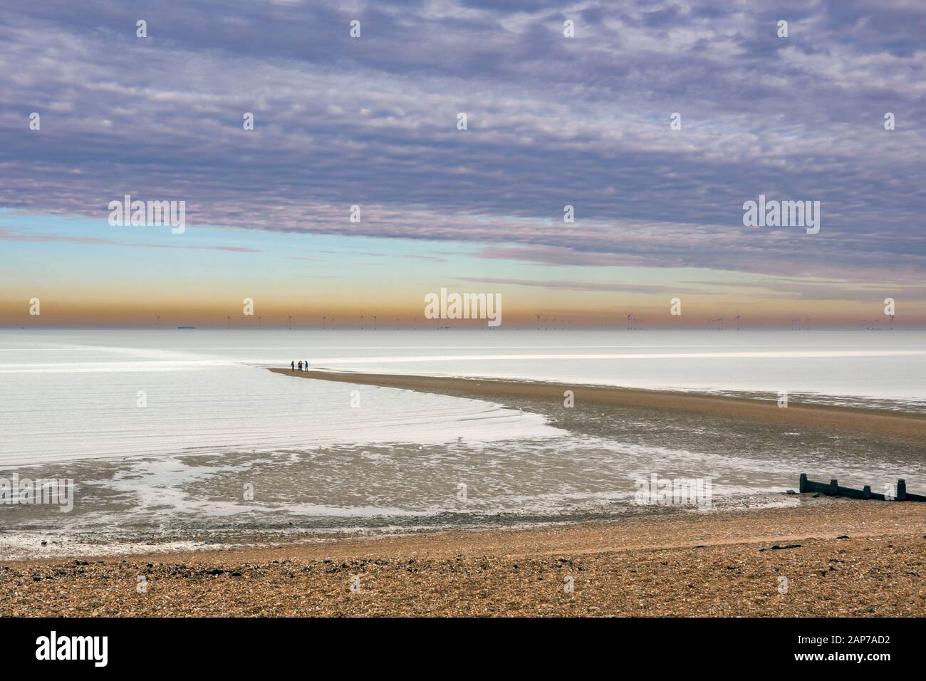 Walkers,on the,The Street,Whitstable,Kent,England,Saxon shore Way, A long line of shingle caused by the meeting of two tides. A large wind farm in the Stock Photo