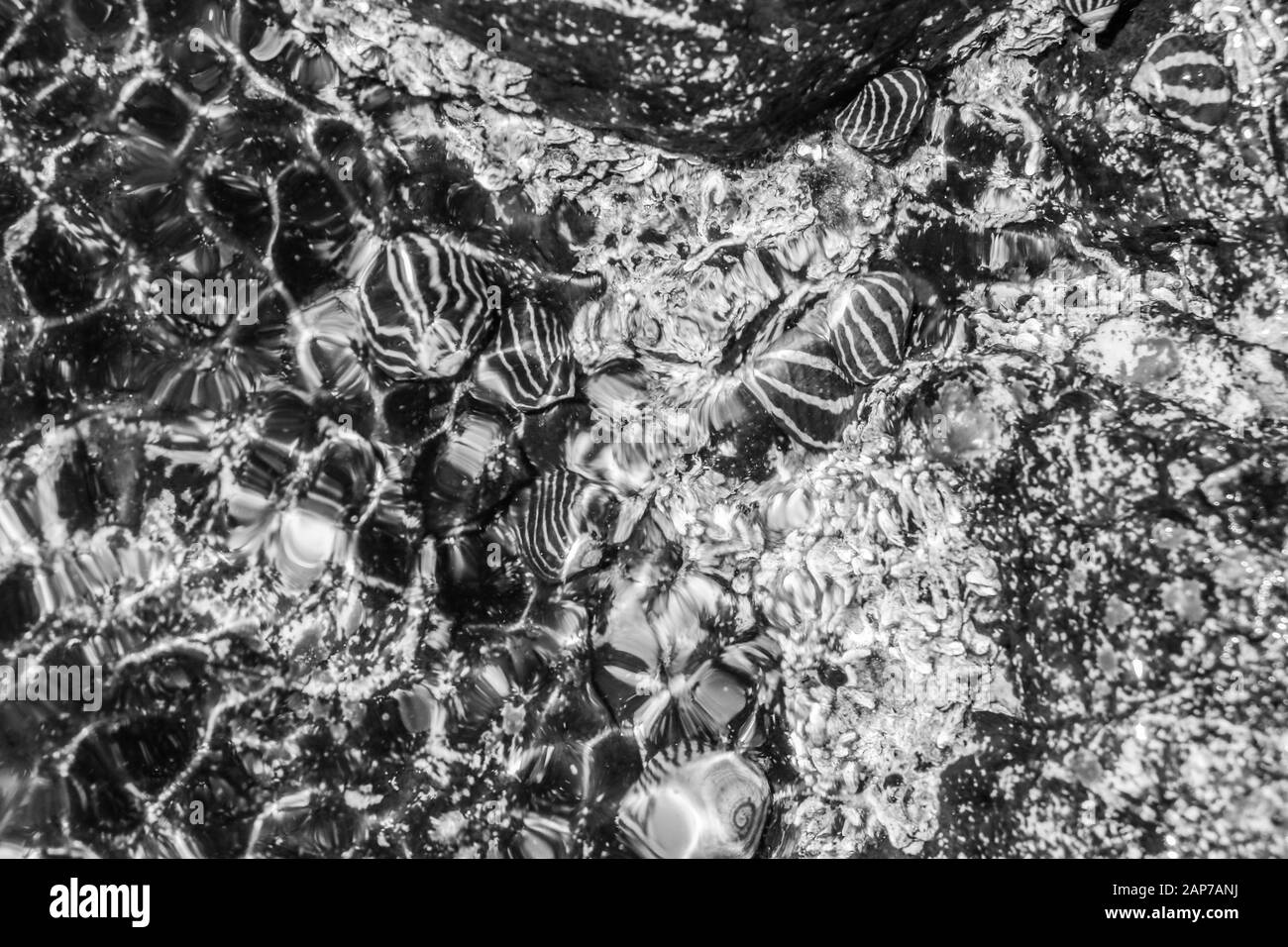 Black and white abstract pattern Stock Photo - Alamy