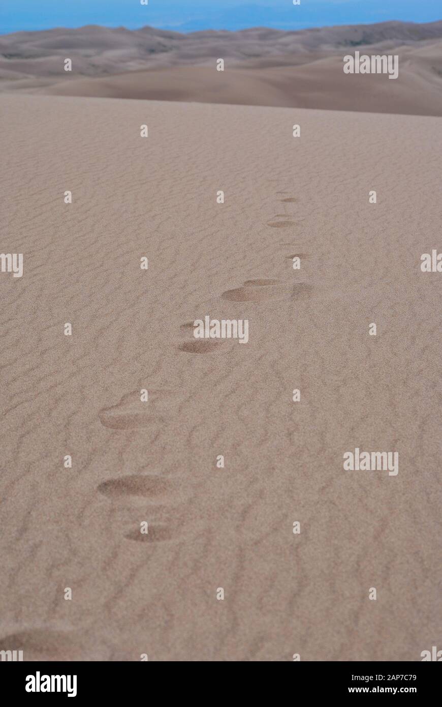 Footsteps in the sand dunes Stock Photo