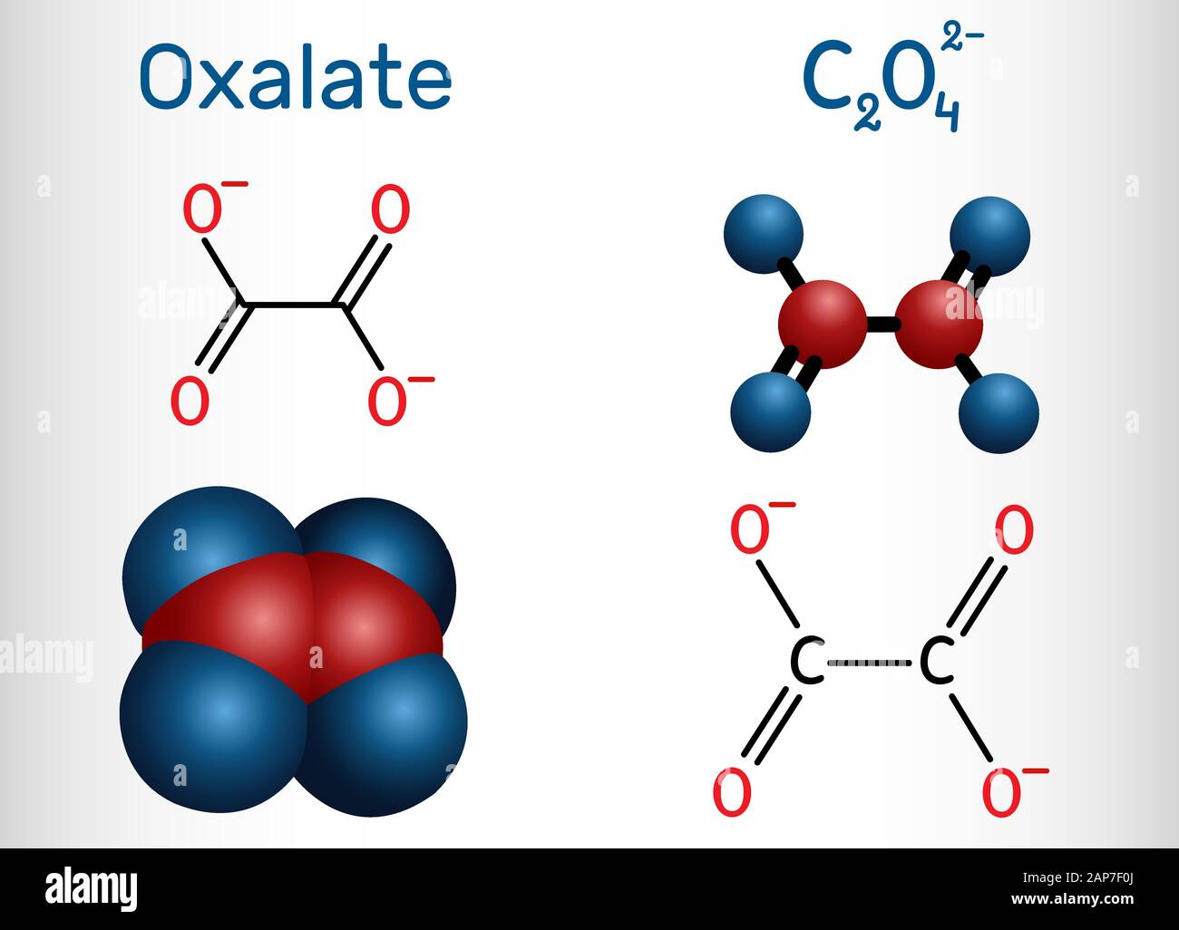 Oxalate anion, ethanedioate molecule.  Structural chemical formula and molecule model. Vector illustration Stock Vector