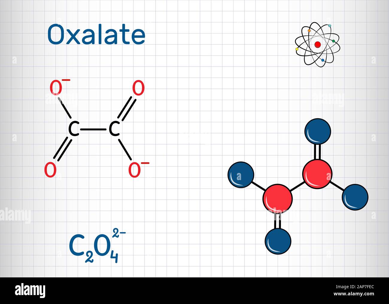 Oxalate anion, ethanedioate molecule.  Structural chemical formula and molecule model. Sheet of paper in a cage. Vector illustration Stock Vector
