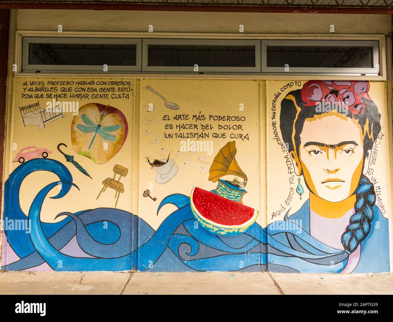 Valdivia, Los Rios Region, Chile - January 12, 2019: Graffiti in honor Frida Kahlo at the Universidad Austral de Chile in Valdivia city, on isle of Te Stock Photo