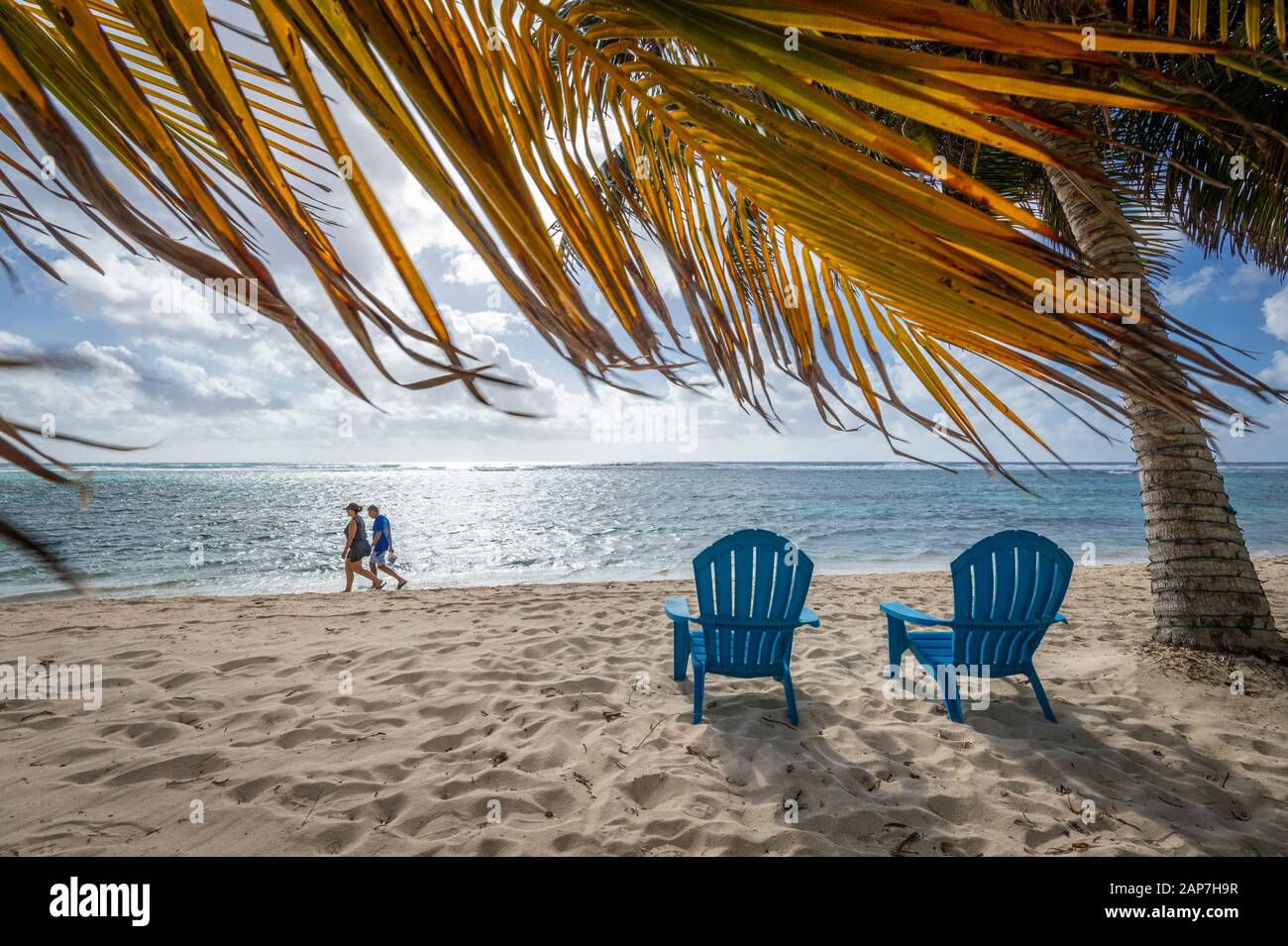 Retired American seniors walking on beach with palm trees and beach chairs Stock Photo