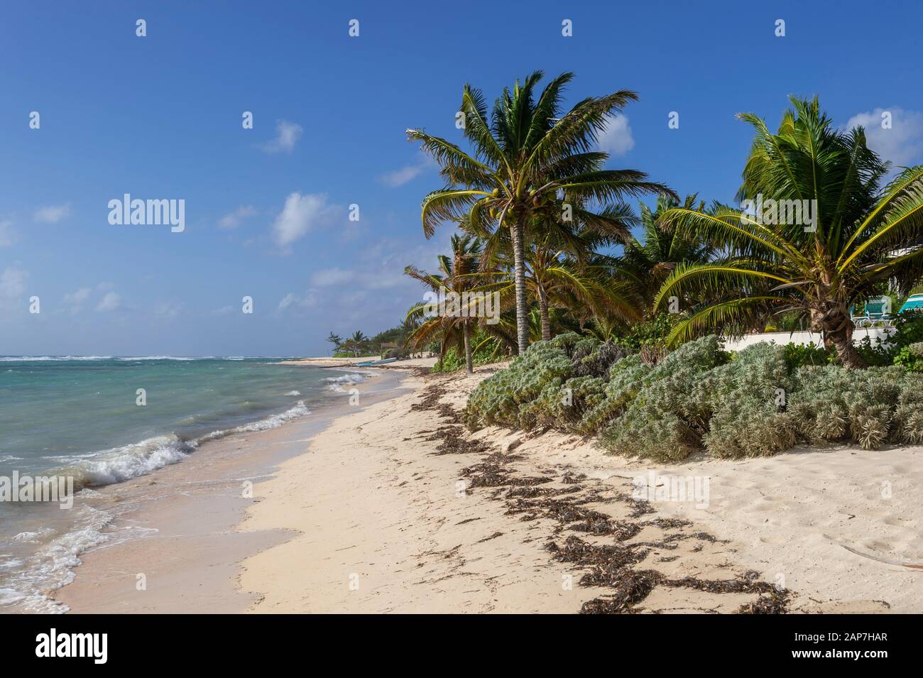 Palm trees and sandy beach, perfect tropical location, Grand Cayman Island Stock Photo