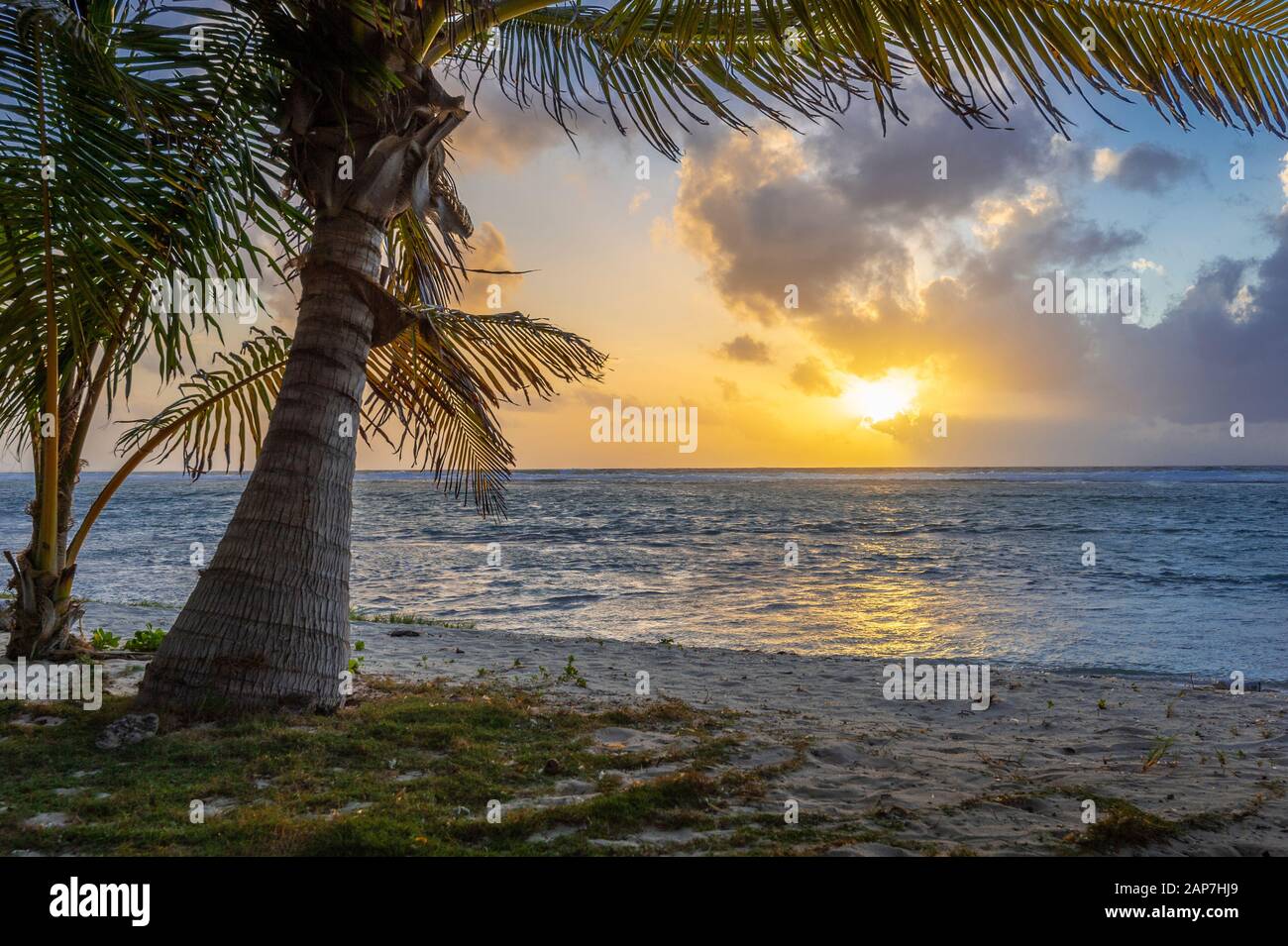 Palm trees and sandy beach at sunrise, perfect tropical location, Grand Cayman Island Stock Photo