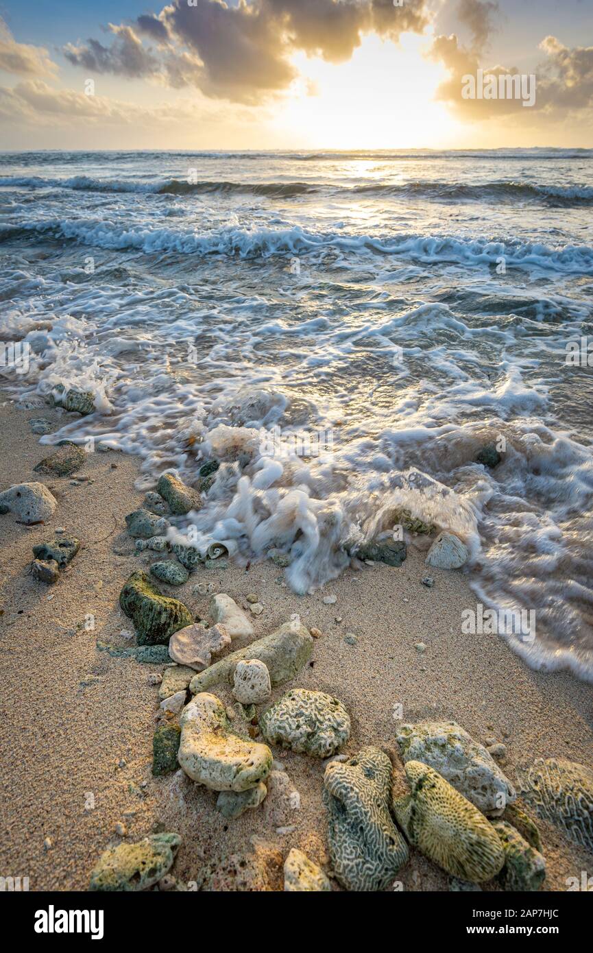 Rocky beach with surf at sunrise, Grand Cayman Island Stock Photo