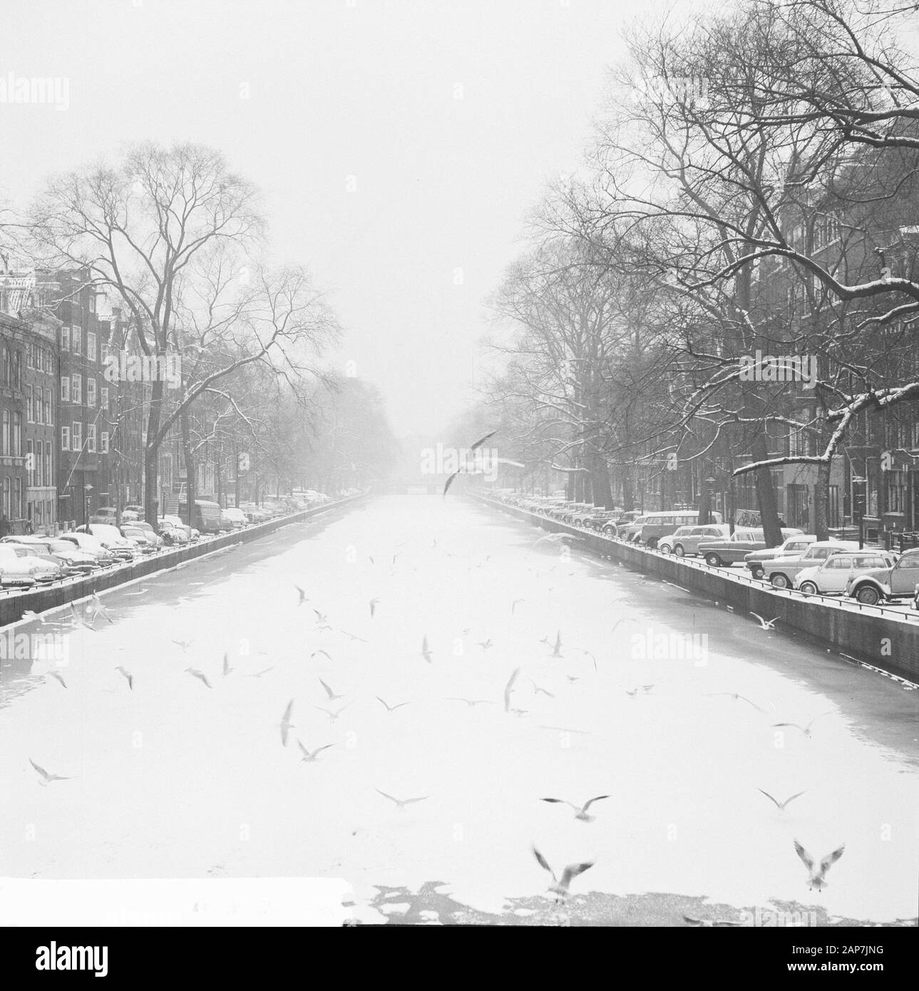 snowsnow様(7/19まで) 1962 snow hi-res stock photography and images - Page 2 - Alamy