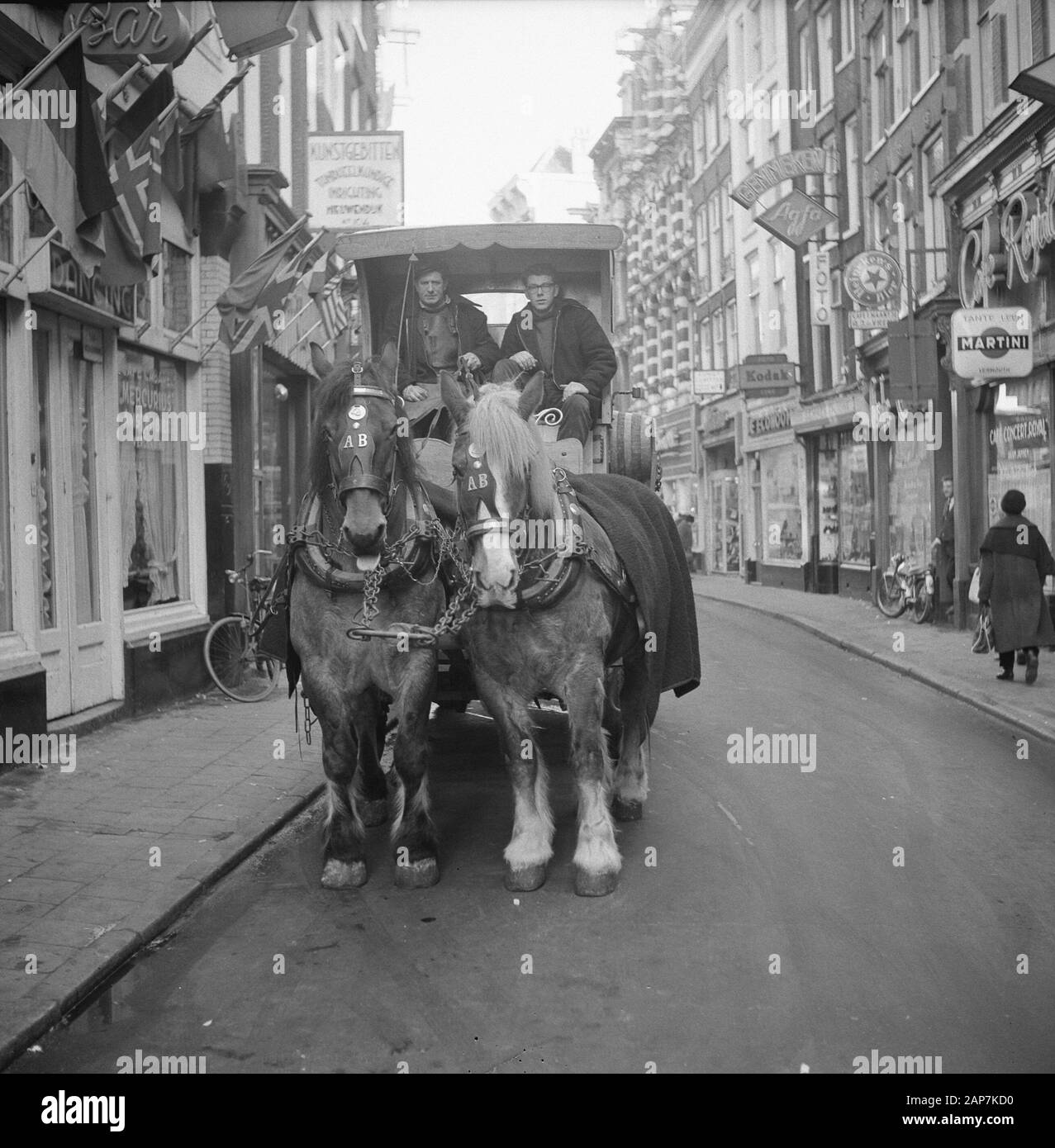 Brewery horse with mustache in Amsterdam Date: February 22, 1963 Location: Amsterdam, Noord-Holland Keywords: horses Stock Photo