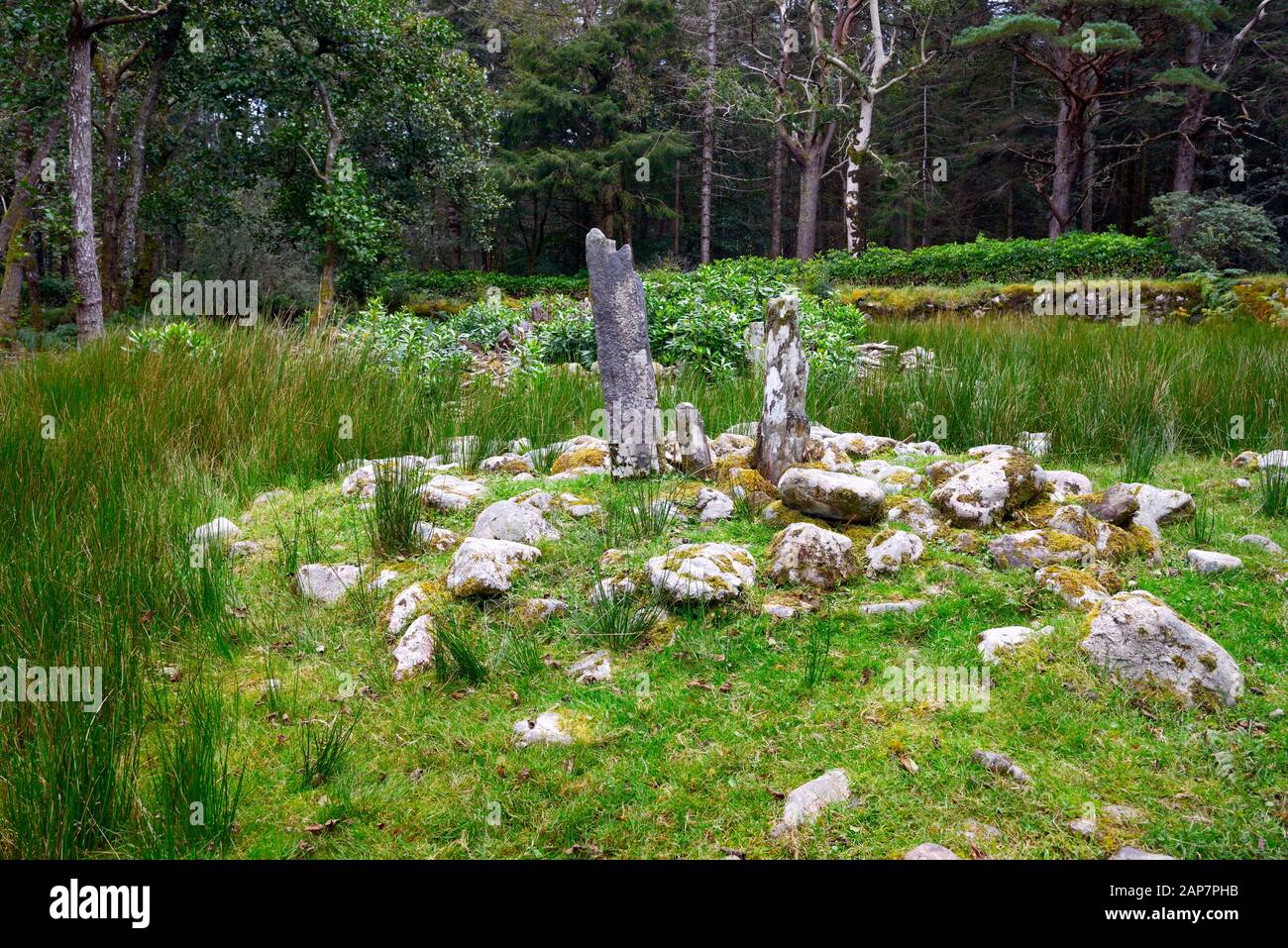 Pillar stone at head of Dunlewy Lough, Donegal, Ireland. Early incised cross halfway down. Celtic Christian burial and possible prehistoric site Stock Photo