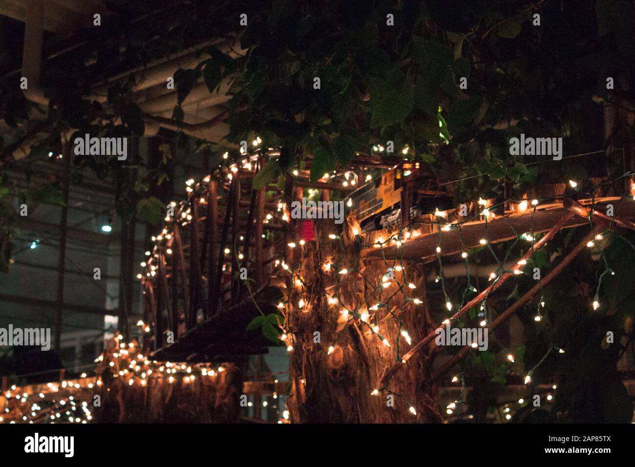 The train passing over a lit bridge in the train garden at the Frederik  Meijer Gardens in Grand Rapids Michigan Stock Photo - Alamy