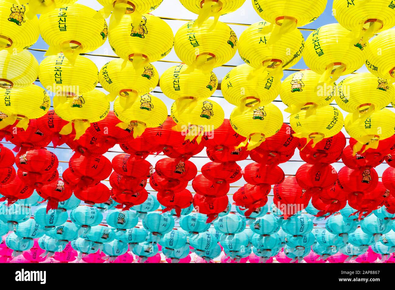 buddha's birthday celebration