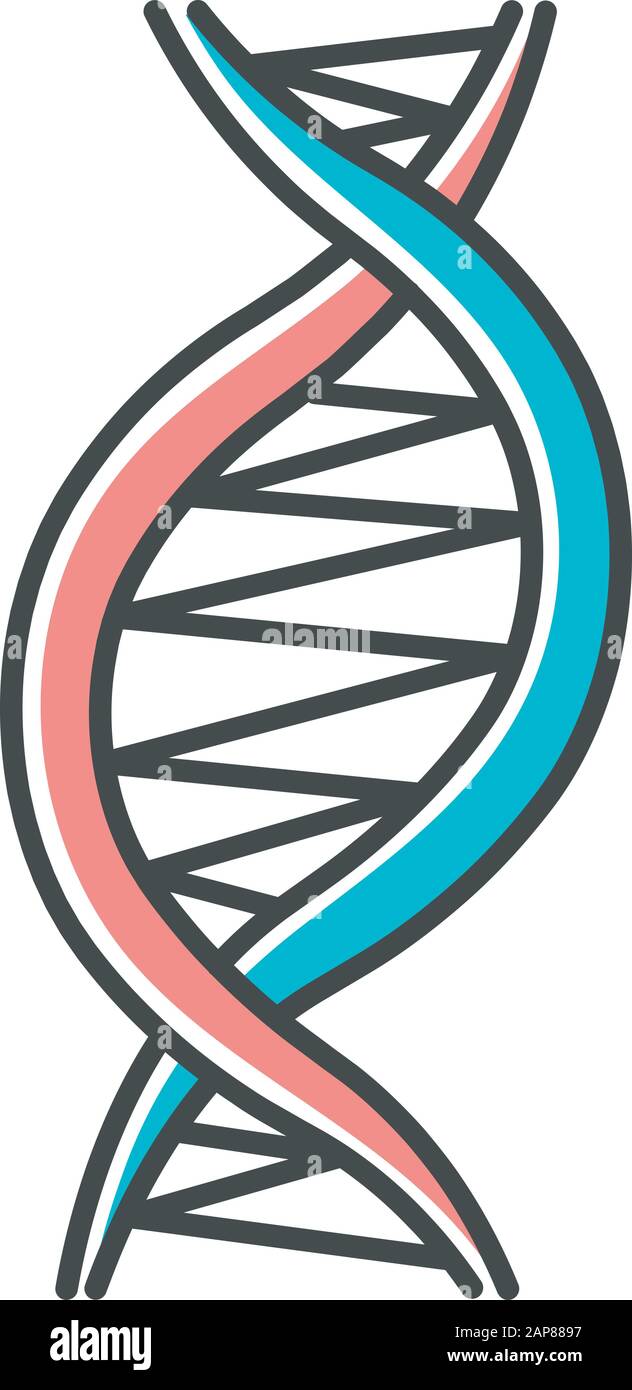 Left-handed DNA helix color icon. Z-DNA. Deoxyribonucleic, nucleic acid  structure. Spiral strands. Chromosome. Molecular biology. Genetic code.  Genome Stock Vector Image & Art - Alamy