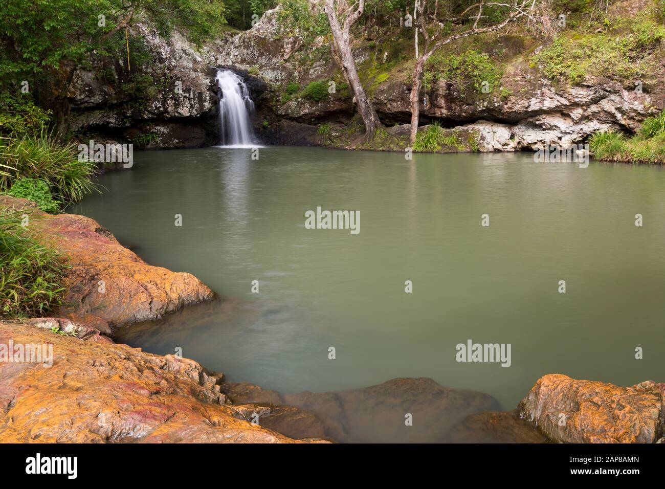 Scene Creek Waterfall, Kondalilla National Park, Queensland, Australia Stock Photo