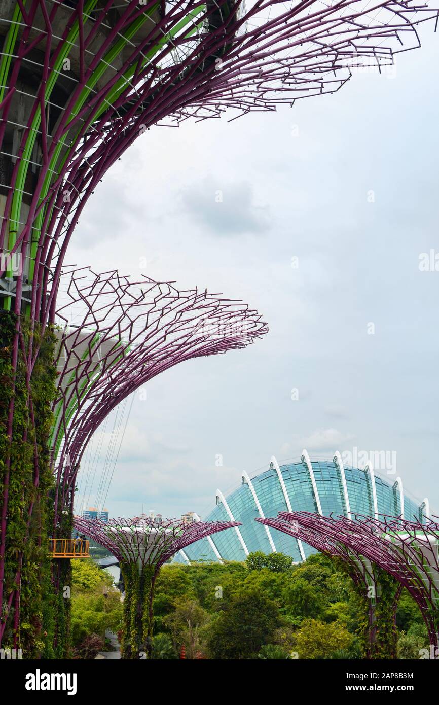 SINGAPORE - SEPTEMBER 8, 2018 - View of the Cloud Dome from the OCBC Skyway at Gardens by the Bay in Singapore Stock Photo