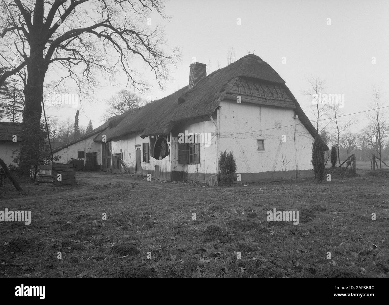 Farm will be moved to Belgian Open Air Museum Domain of Bokrijk at Genk Annotation: Kilbershoeve from Meenen. In 1959 to Open Air Museum Date: January 1957 Location: Belgium Keywords: farms, buildings, open-air museums Stock Photo