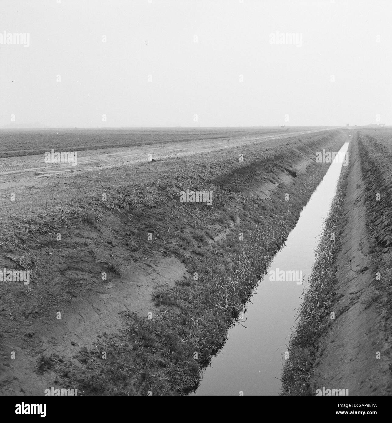 construction and improvement of roads, dikes and savings basins, main canal, peat road, Groningen Date: november 1959 Location: Groningen, Stadskanaal Keywords: construction and improving roads, dikes and savings basins, main channel Personname: peat road Stock Photo