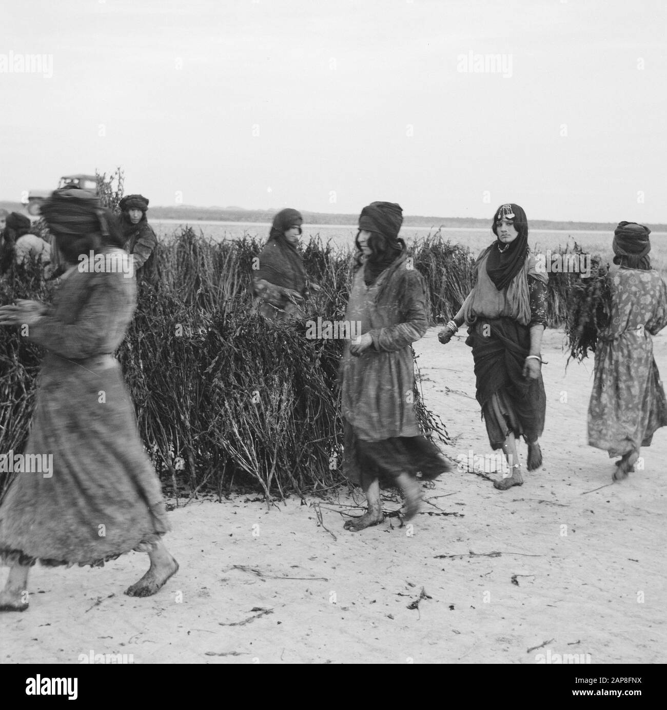 Population density trends hi-res stock photography and images - Alamy