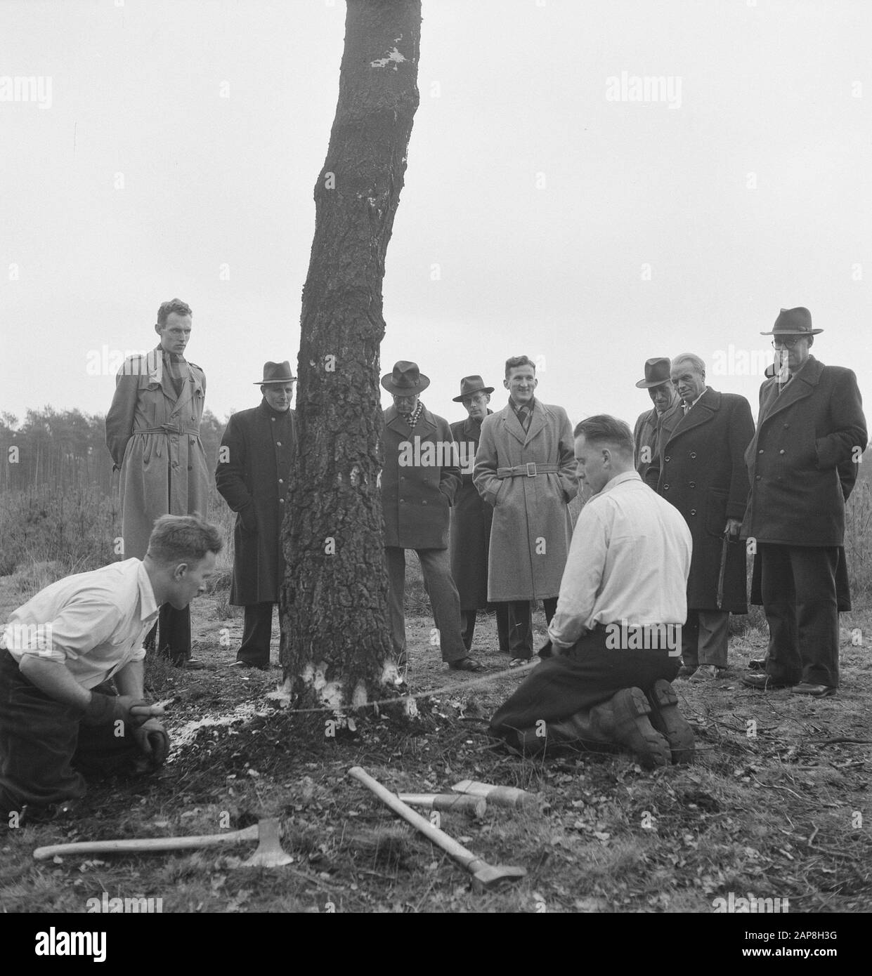workers, forestry, spectators, tools Date: undated Keywords: workers, forestry, tools, spectators Stock Photo