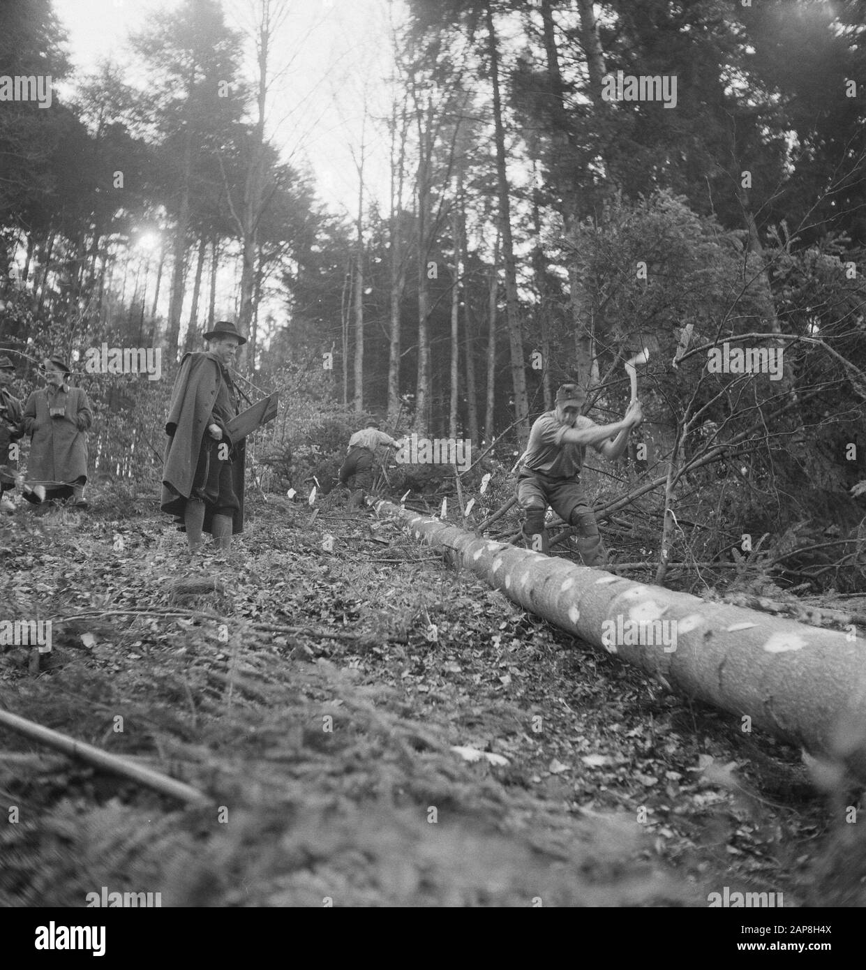 forestry, workers, tools, spectators Date: undated Keywords: workers, forestry, tools, spectators Stock Photo