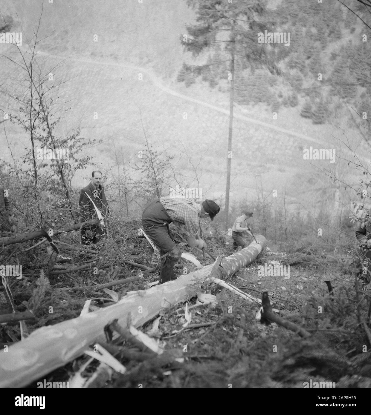 forestry, workers, tools, spectators Date: undated Keywords: workers, forestry, tools, spectators Stock Photo