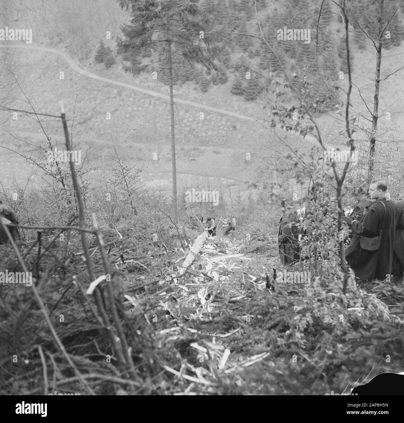 workers, forestry, spectators Date: undated Keywords: workers, forestry, spectators Stock Photo