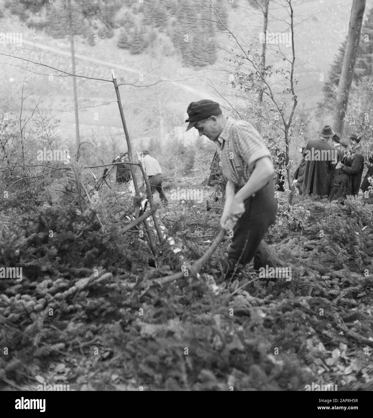 forestry, workers, tools, spectators Date: undated Keywords: workers, forestry, tools, spectators Stock Photo
