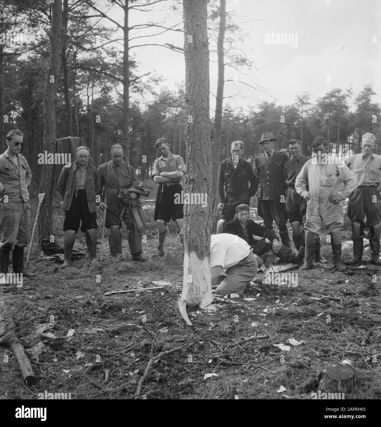 workers, forestry, tools Date: undated Keywords: workers, woodworking, tools Stock Photo