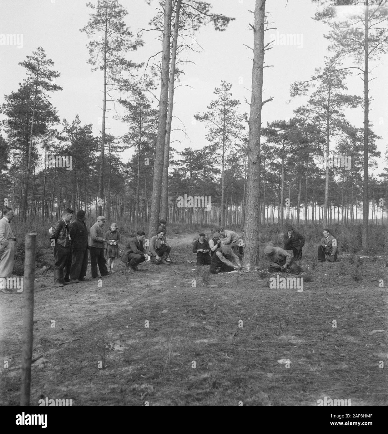forestry, workers, tools, spectators Date: undated Keywords: workers, forestry, tools, spectators Stock Photo