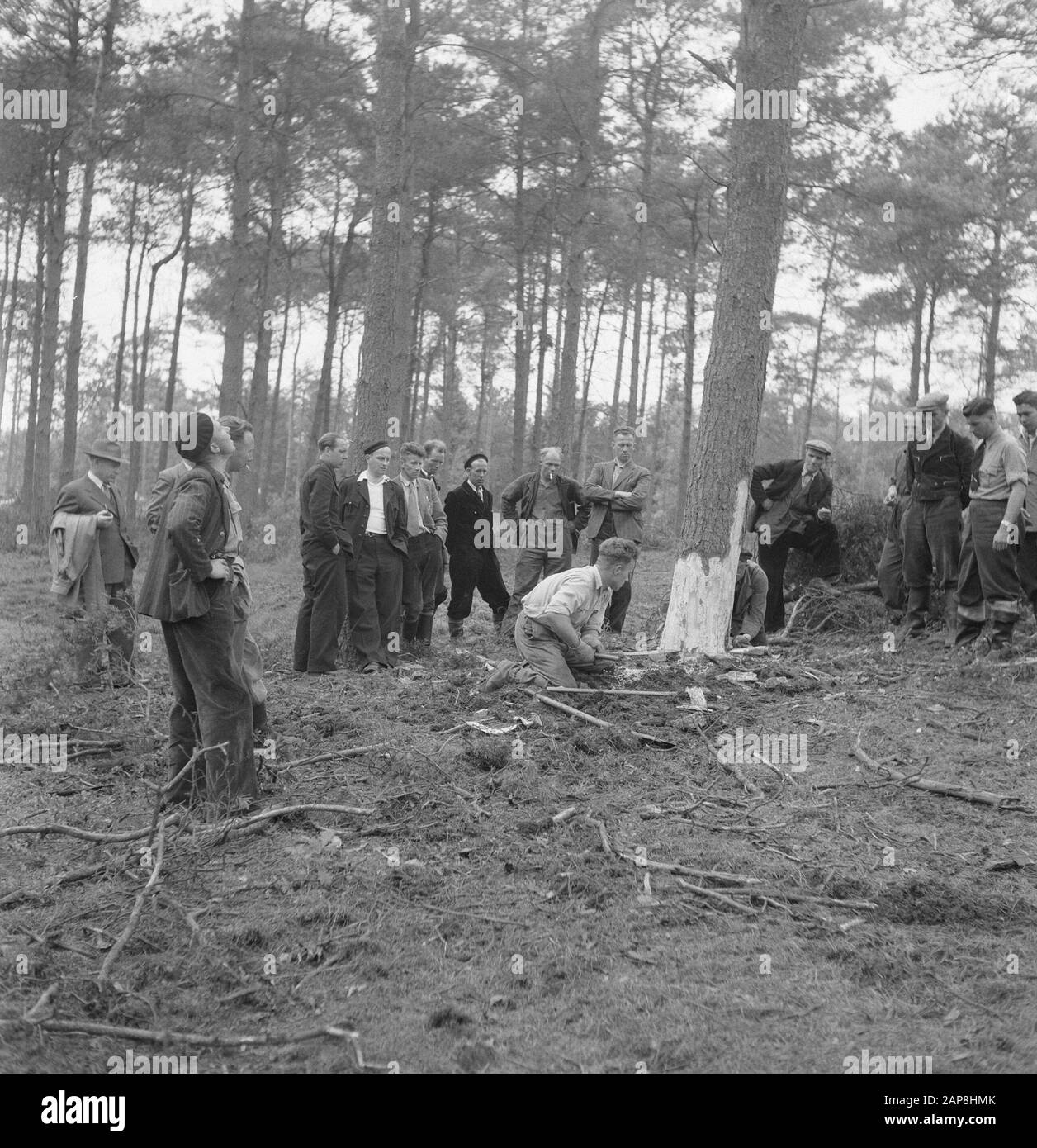 workers, forestry, tools, spectators Date: undated Keywords: workers, forestry, tools, spectators Stock Photo