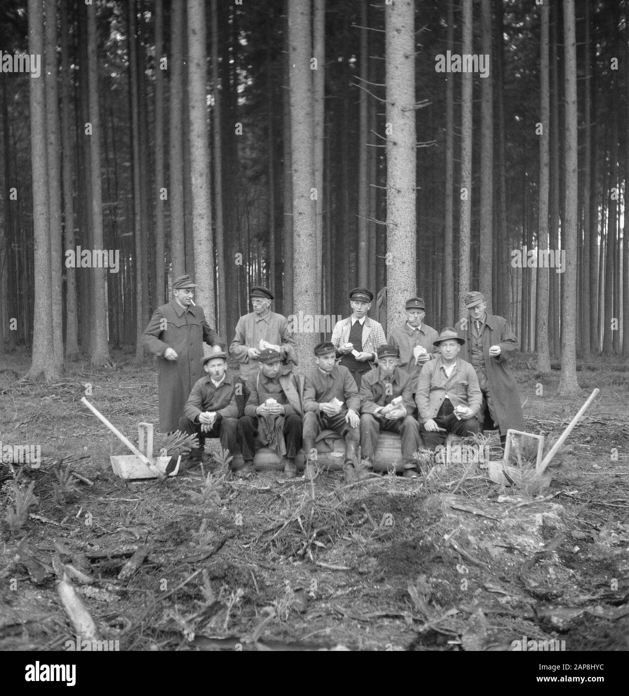 forestry, workers, tools, group photos Date: undated Keywords: workers, forestry, tools, group photos Stock Photo