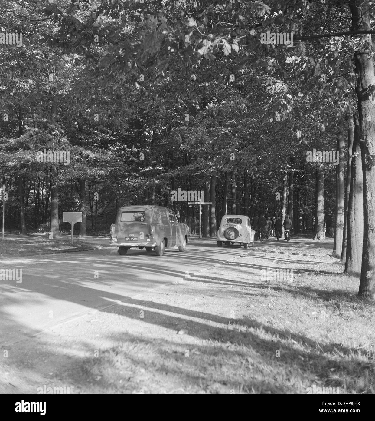 forests, roads, cars Date undated Keywords cars, forests, roads Stock