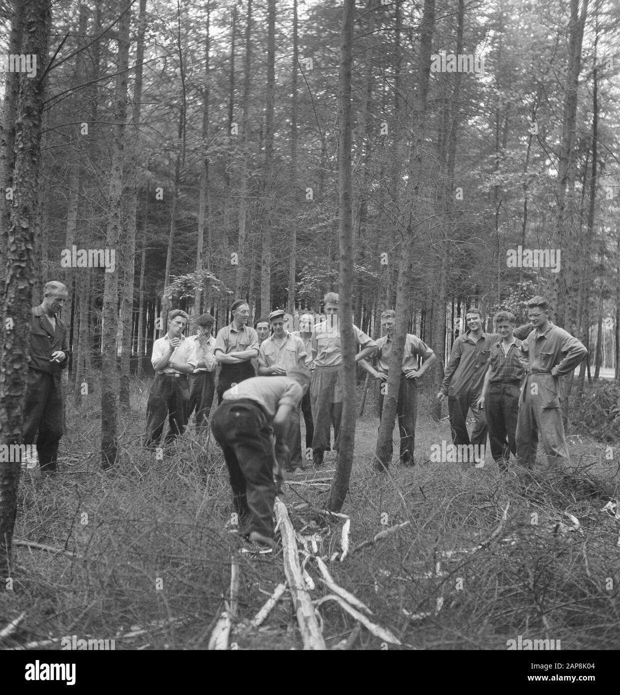 forestry, workers, tools, work Date: undated Keywords: workers, forestry, tools, work Stock Photo