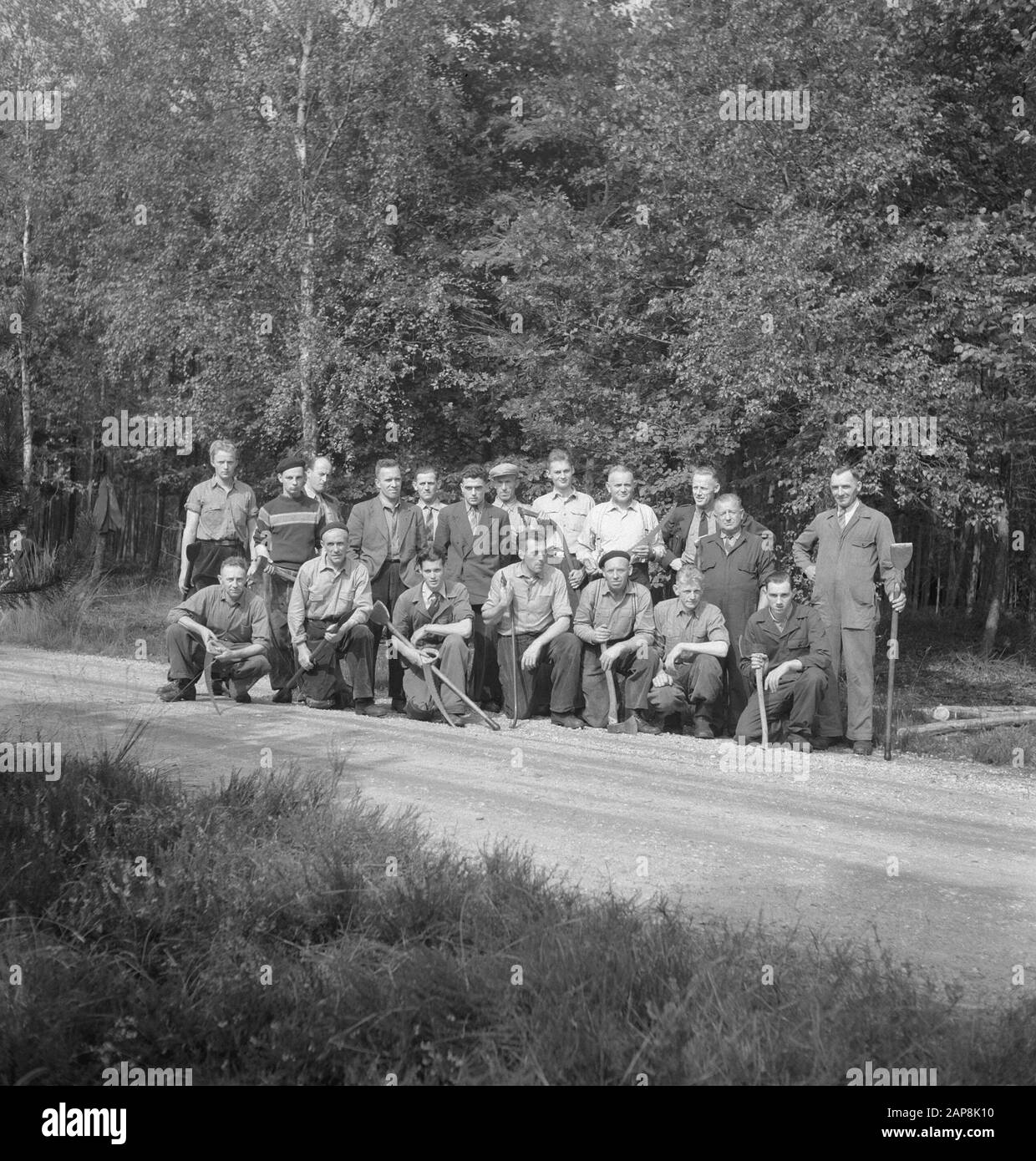 Logging crews hi-res stock photography and images - Alamy