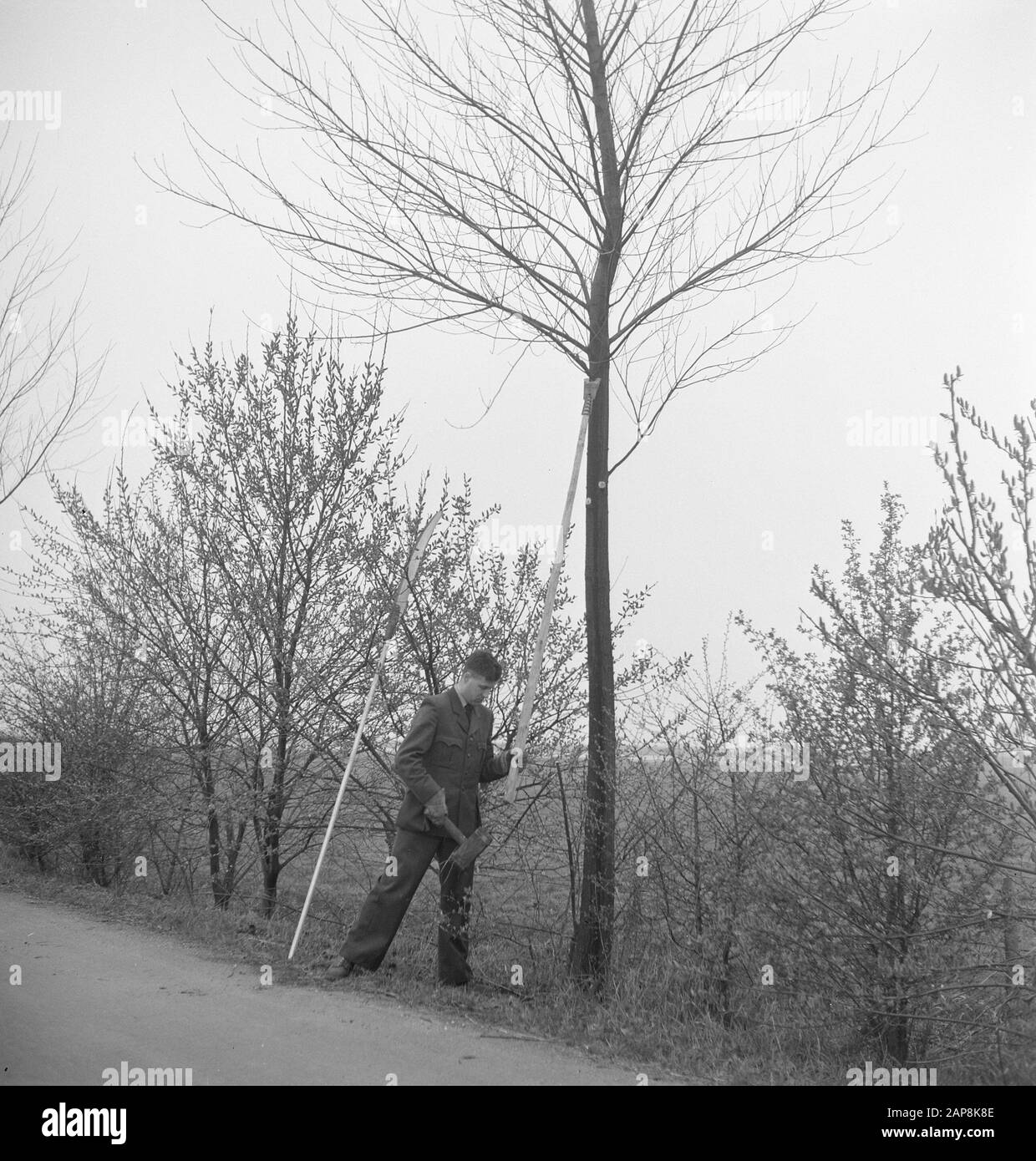 trees, tools, workers Date: undated Keywords: workers, trees, tools Stock Photo