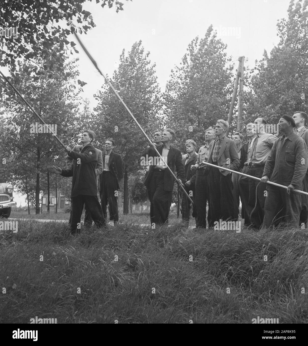 workers, trees, tools, work Date: undated Keywords: workers, trees, tools, work Stock Photo