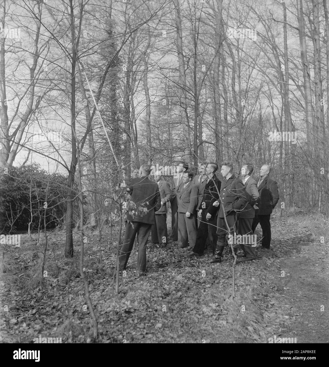 forestry, workers, tools, spectators Date: undated Keywords: workers, forestry, tools, spectators Stock Photo