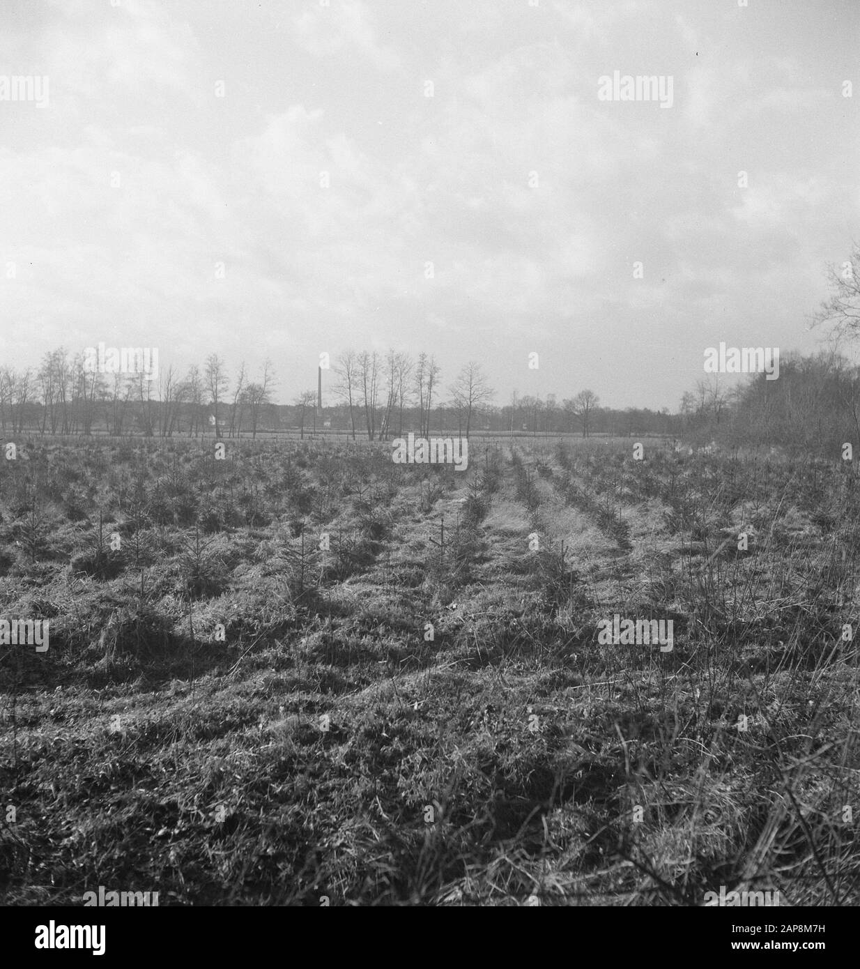 Green fields agricultural Black and White Stock Photos & Images - Alamy