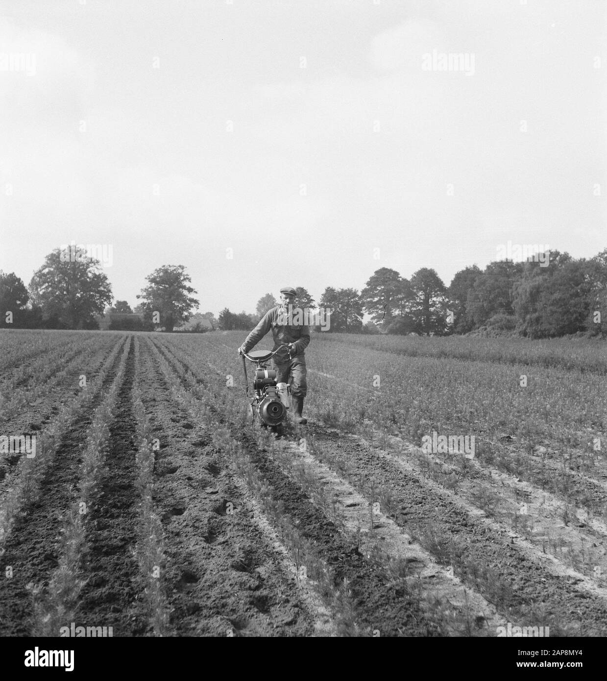 workers, agricultural machinery, tools, work Date undated Keywords