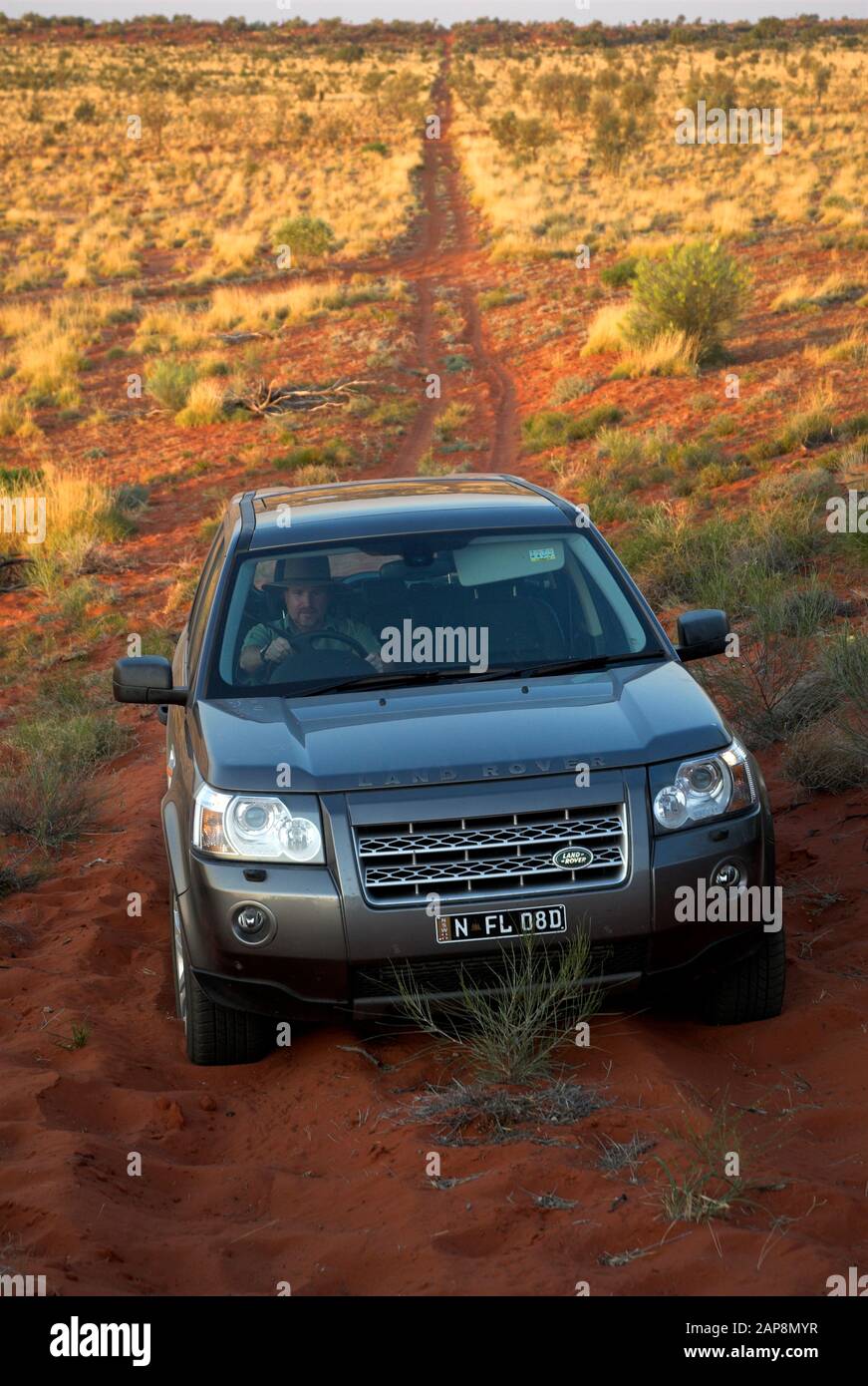 A LandRover Freelander 2 tackles a sand dune in spinifex country outside Windorah, western Queensland, Australia Stock Photo