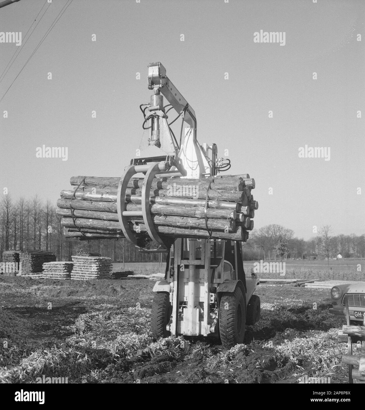 Lifting tree trunks Black and White Stock Photos & Images Alamy