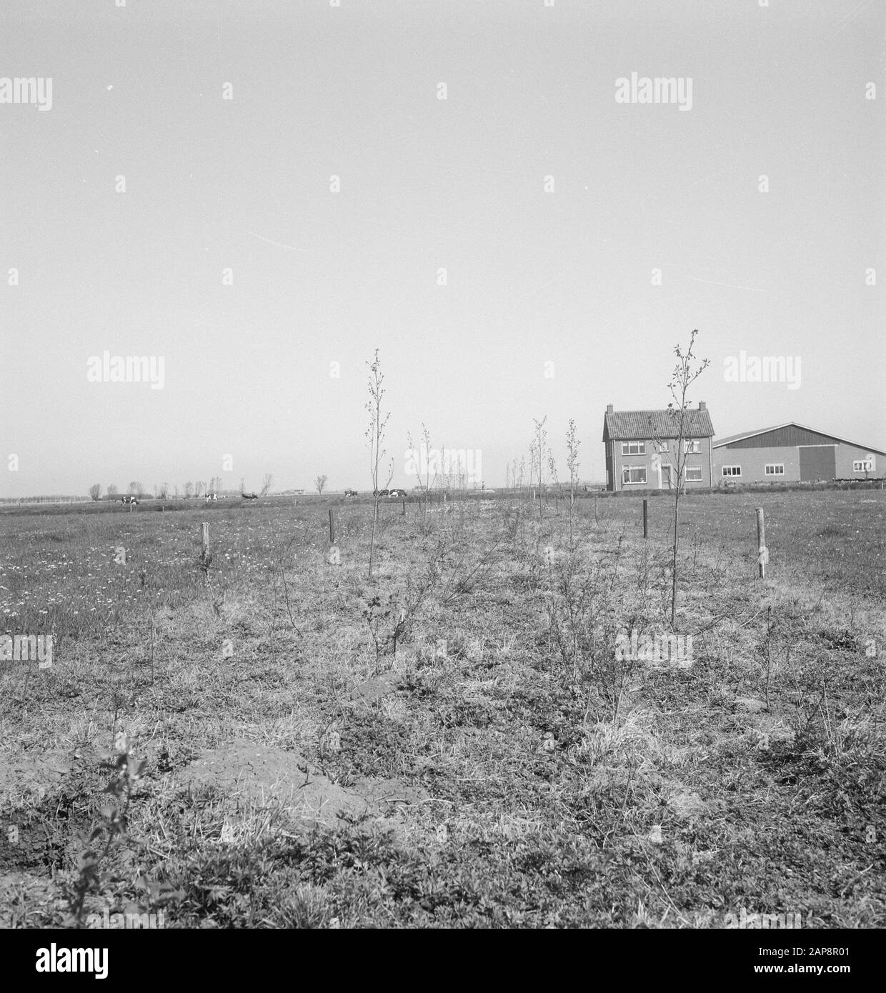 forestry, meadows, farms Date undated Keywords farms, forestry