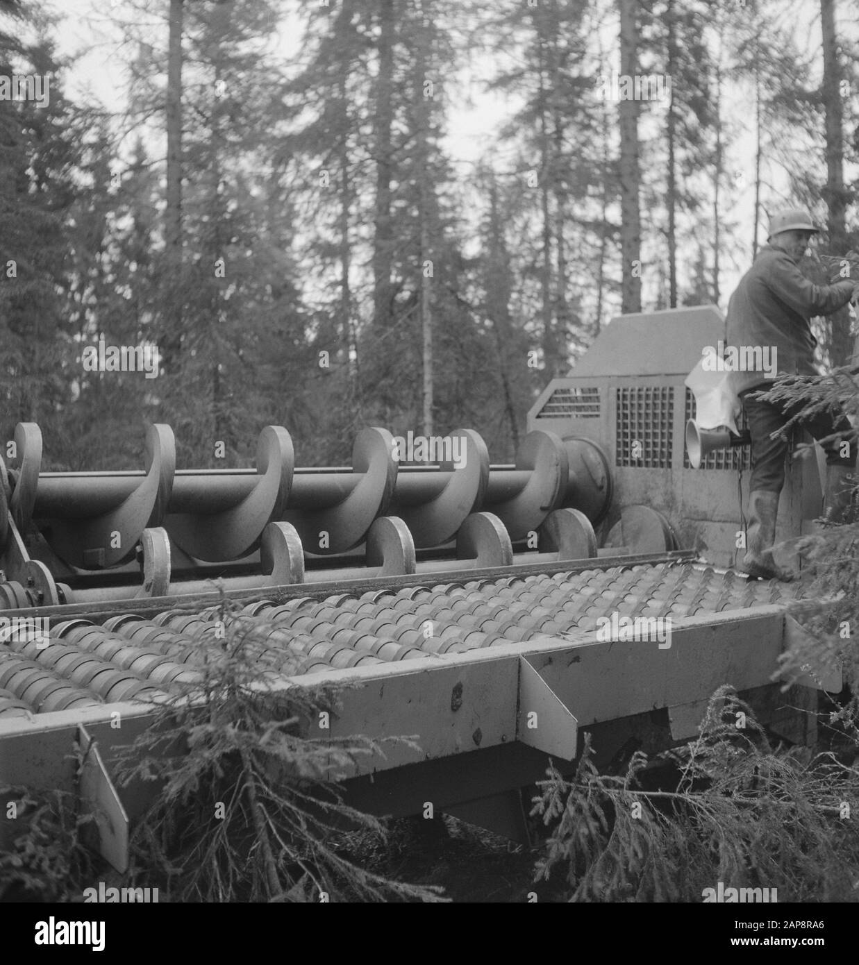 forestry, machines, tools, workers Date: undated Keywords: workers, forestry, machines, tools Stock Photo