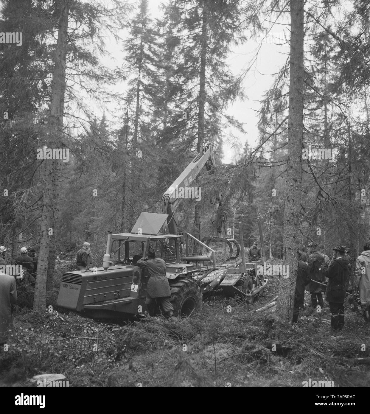 forestry, machines, tools, workers Date: undated Keywords: workers, forestry, machines, tools Stock Photo