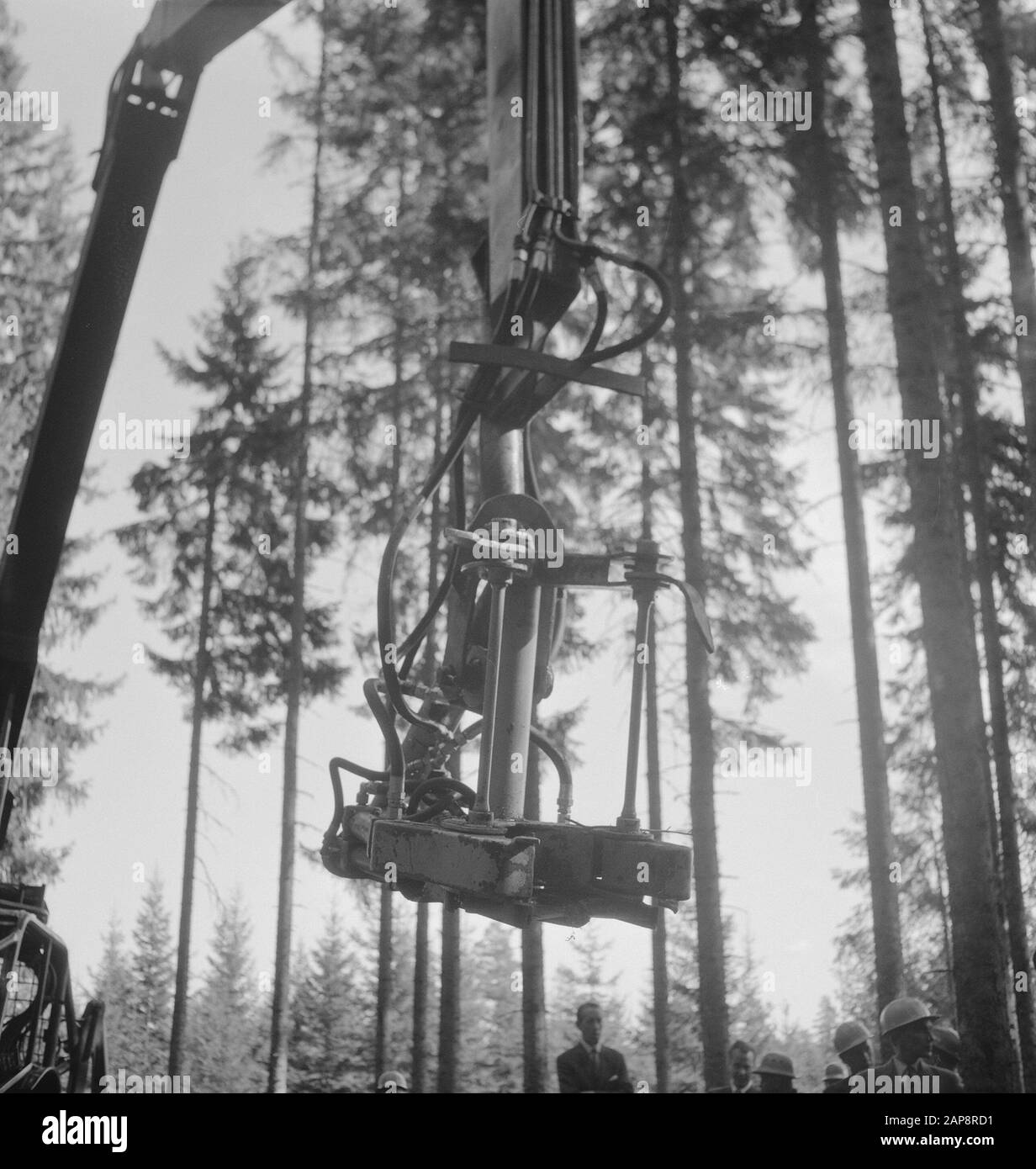 forestry, machines, tools, workers Date: undated Keywords: workers, forestry, machines, tools Stock Photo